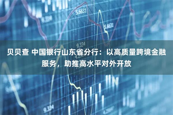 贝贝查 中国银行山东省分行：以高质量跨境金融服务，助推高水平对外开放