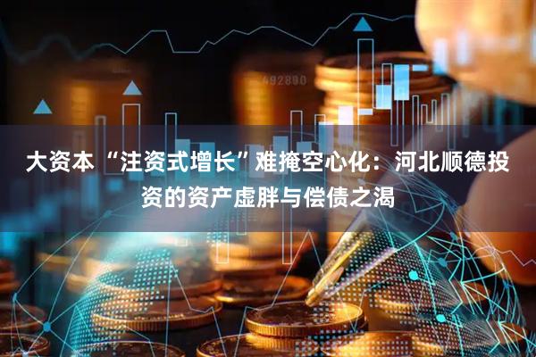 大资本 “注资式增长”难掩空心化：河北顺德投资的资产虚胖与偿债之渴