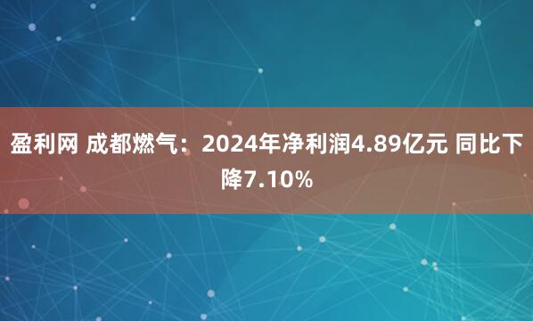 盈利网 成都燃气：2024年净利润4.89亿元 同比下降7.10%