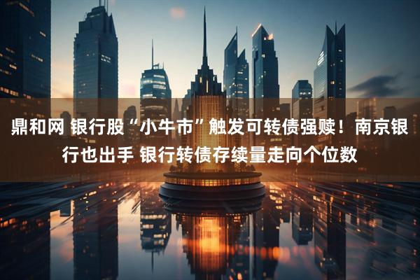 鼎和网 银行股“小牛市”触发可转债强赎!南京银行也出手 银行转债存续量走向个位数