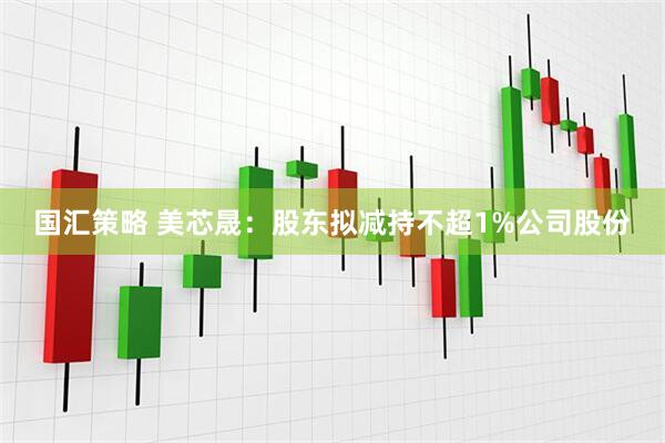 国汇策略 美芯晟:股东拟减持不超1%公司股份