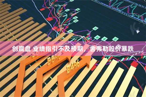 创赢盘 业绩指引不及预期，舍弗勒股价暴跌